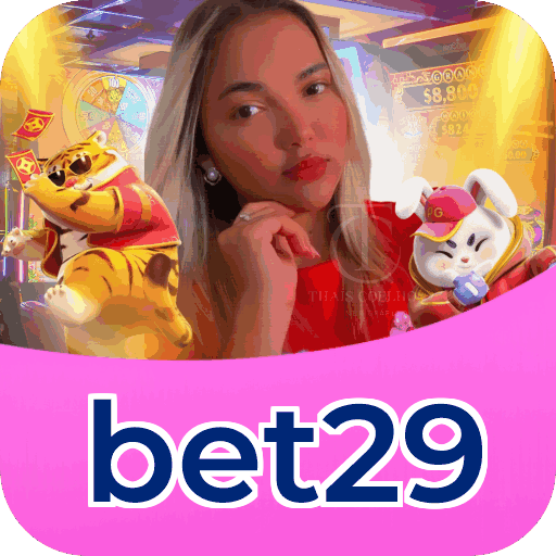 Resumo visual de bônus e campanhas bet29